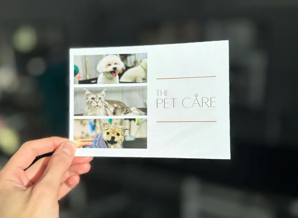 Груминг-студия The Pet Care